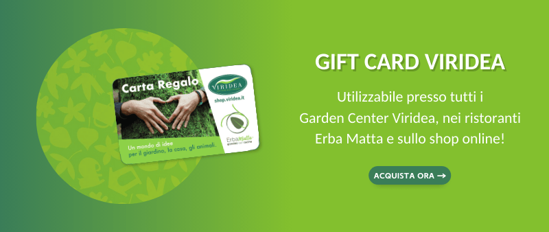 Viridea Gift card