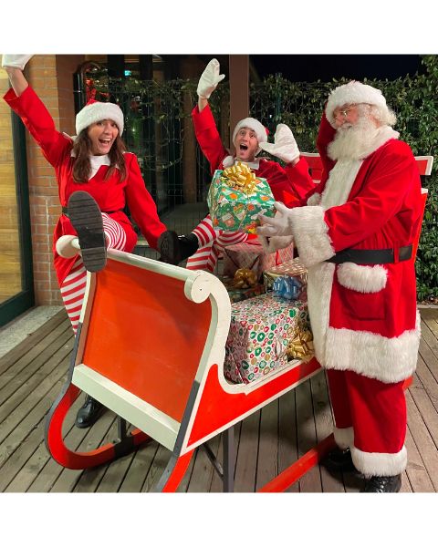 Cena con Babbo Natale Viridea di Rho