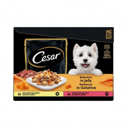 Cesar Selezione in Gelatina cibo umido per cani Multipack 12pz