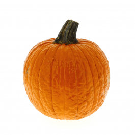 Zucca ornamentale Halloween Piccola Arancione