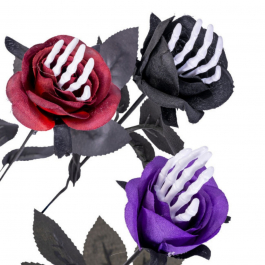 Seduta Dello Scheletro Di Halloween Immagine Stock - Immagine Di Terra - Foto 6