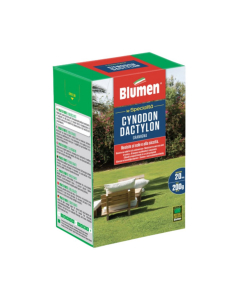 Prato cynodon dactylon 200 gr