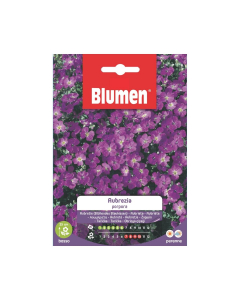 Semi Aubrezia porpora