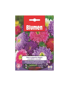 Semi Astro principessa doppio