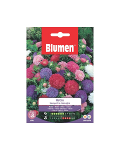 Semi Astro Bouquet in miscuglio