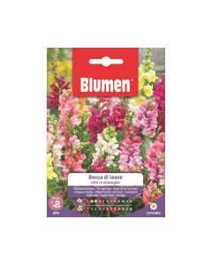 Semi Bocca di Leone alta mix