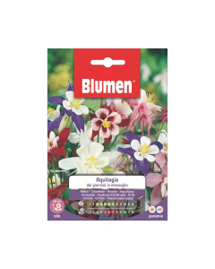 Semi Aquilegia dei giardini in miscuglio