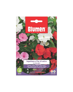 Semi Impatiens o Fior di vetro in miscuglio
