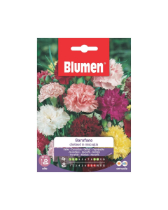 Semi Garofano Chabaud in miscuglio