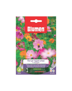 Semi Fiori per tappeti erbosi in miscuglio