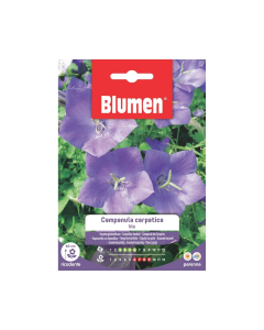 Semi Campanula Carpatica blu