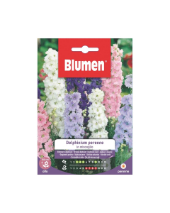 Semi Delphinium perenne in miscuglio