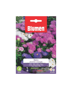 Semi Astro Pinocchio in miscuglio