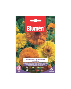 Semi Calendula a grandi fiori in miscuglio