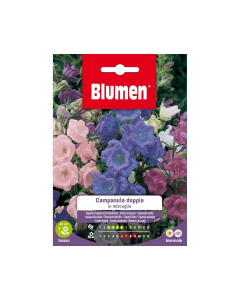 Semi Campanula doppia in miscuglio
