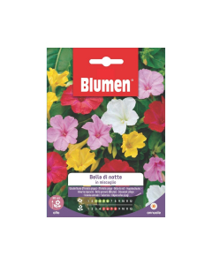 Semi Bella di Notte in miscuglio