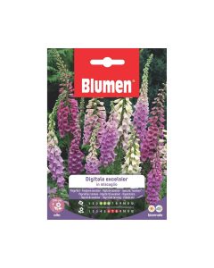 Semi Digitale excelsior in miscuglio