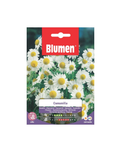 Semi Camomilla matricaria 