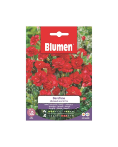 Semi di Garofano Chabaud scarlatto