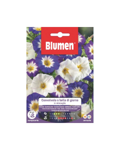 Semi di Convolvolo o Bella di Giorno in miscuglio