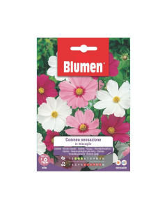 Semi di Cosmea Sensazione in Miscuglio
