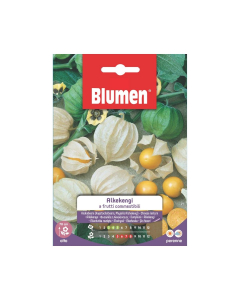 Semi di Alkekengi a frutti commestibili