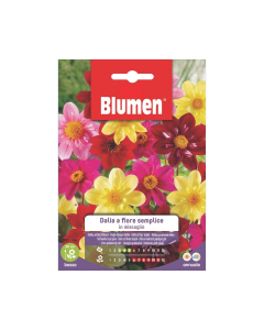 Semi di Dalia a fiore semplice in miscuglio