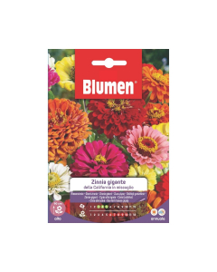 Semi di Zinnia Gigante della California in miscuglio