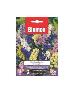 Semi di Statice Sinuata in miscuglio