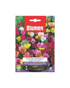 Semi di Portulaca Grandiflora semplice in miscuglio