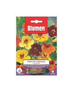 Semi di Nasturzio rampicante in miscuglio