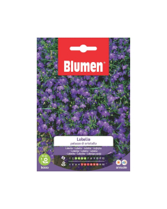 Semi di Lobelia palazzo di cristallo