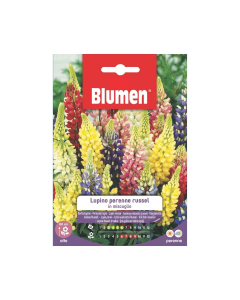 Semi di Lupino perenne Russel in miscuglio