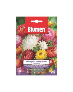 Semi di Helicrysum o Semprevivo in miscuglio