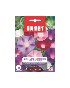 Semi di Ipomea o Campanella rampicante in miscuglio