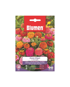 Semi di Zinnia Lilliput in miscuglio