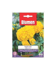 Semi di Tagete alto doppio giallo