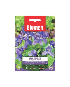 Semi di Viola Mammola delle quattro stagioni