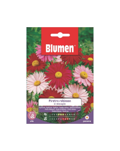 Semi di Piretro Robinson in miscuglio