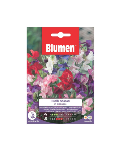 Semi di Piselli Odorosi in miscuglio