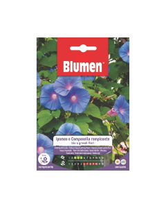 Semi di Ipomea o Campanella rampicante blu