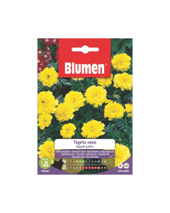 Semi di Tagete nano doppio giallo