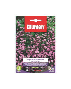 Semi di Saponaria Ocymoides rosa da bordura