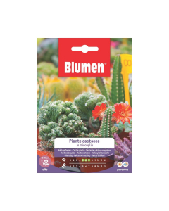 Semi di Piante Cactacee in miscuglio