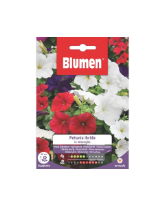 Semi di Petunia Ibrida in miscuglio