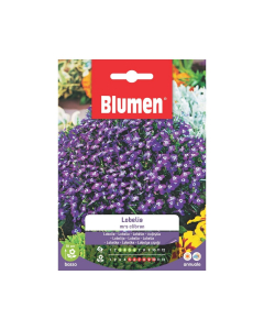 Semi di Lobelia Missis Clibran