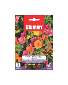 Semi di Petunia ibrida pendula in miscuglio