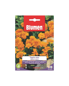 Semi di Tagete nano doppio arancio