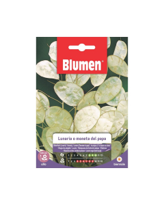 Semi Lunaria o Moneta del Papa