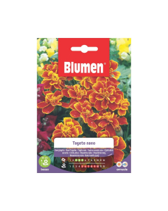 Semi Tagete nano Dainty Marietta